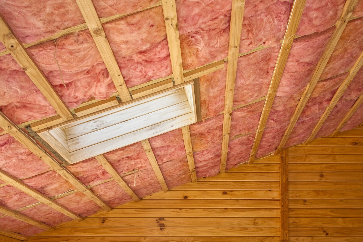 ceiling with pink bats