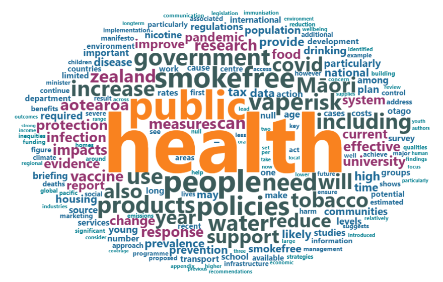 Word cloud showing most common words in PHCC Briefings