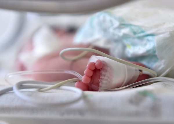 baby in incubator